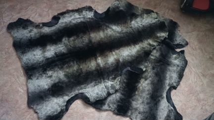 Шкура овчина