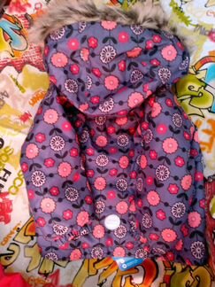 Новый зимний комплект Лесси