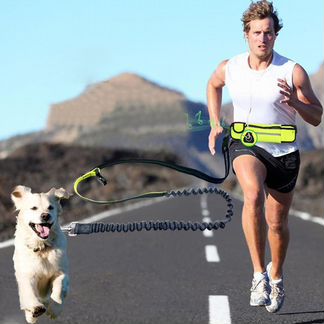 Поводок для бега с собакой с сумкой под телефон