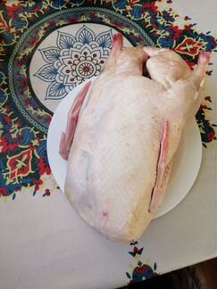 Продукты питания