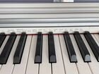 Пианино casio privia PX-770 объявление продам