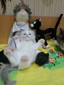 Куклы мальчики