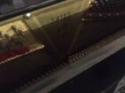 Пианино Беларусь объявление продам