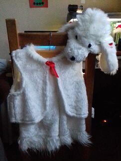 Костюм собаки - пуделя (прокат)