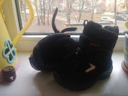 Зимние сапоги ecco