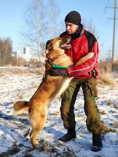 Лайка в дар