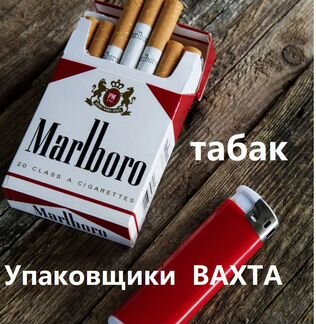 Вахта с питанием и проживанием. Комплектовщики