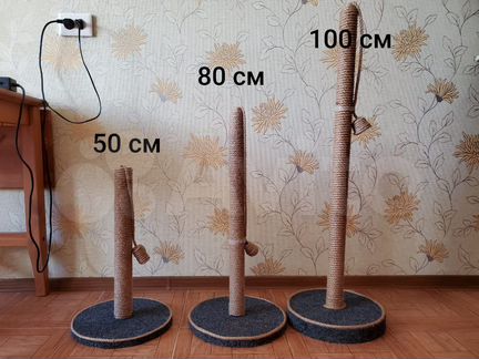 Новая когтеточка