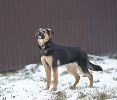 Юная милашка Торви ищет любящую семью
