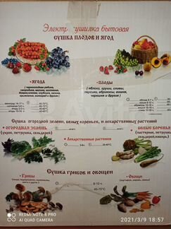 Сушилка для овощей и фруктов