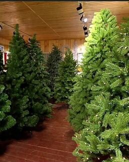 Новогодняя Ёлка