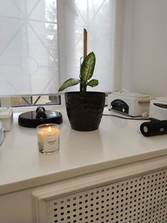 Аренда кабинета косметолога / массажиста