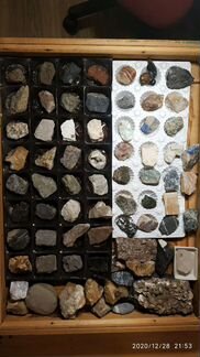 Коллекция камней и окаменелостей