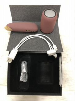 Подарочный набор (колонка + powerbank)