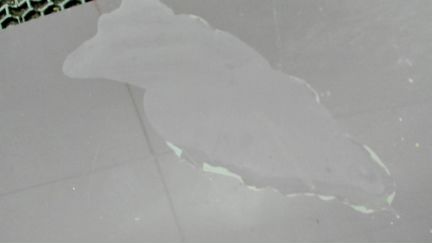 Крышка багажника Audi A4 (B5), 1996