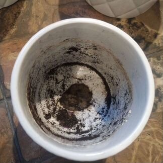 Кашпо 6 шт белые керамика