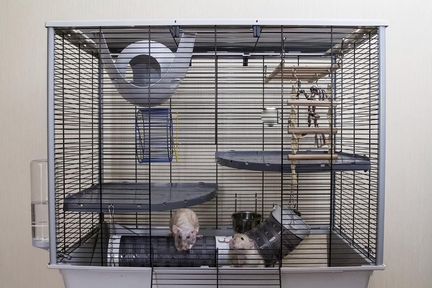 Ferplast Furet огромная импорт клетка Итал.фирмы