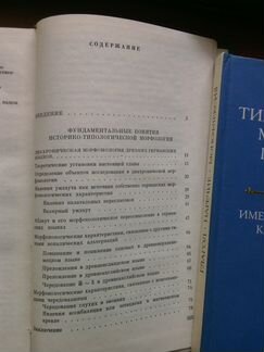 Историко-типологическая морфология германских язык