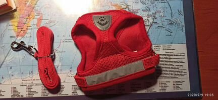 Шлейка с поводком