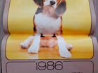 Календарь перекидной 1986 с собакой