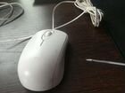 Мышь для компьютера