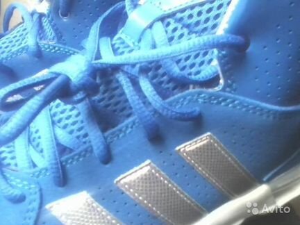 Кроссовки Adidas Torsion